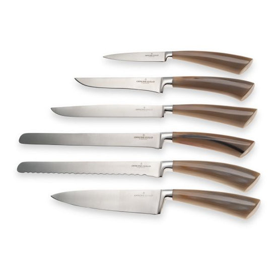 Professional knife set