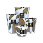 Matches My First Baobab Roma