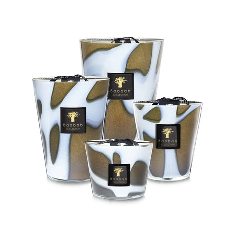 Matches My First Baobab Roma