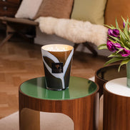 Matches My First Baobab Roma