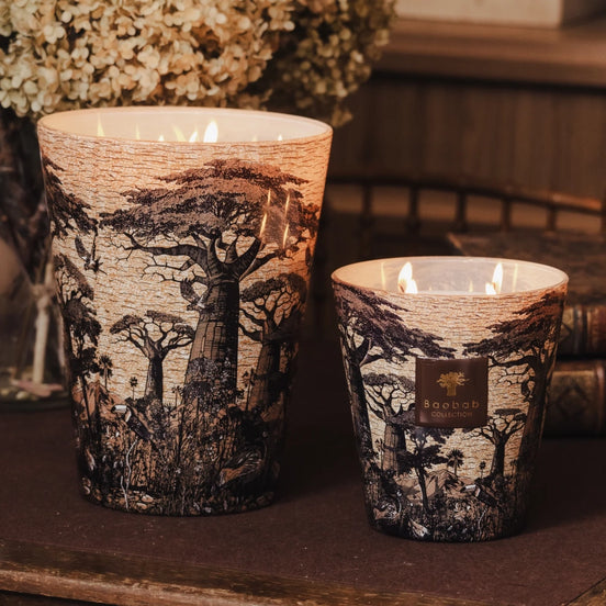 Baobab Collection: Bewitching notes of cinnamon, almond, and cedarwood create a warm, comforting atmosphere — an olfactory invitation to a sensory journey into the heart of West Africa - at Archideco Interior Gallery - archideco-interior.com