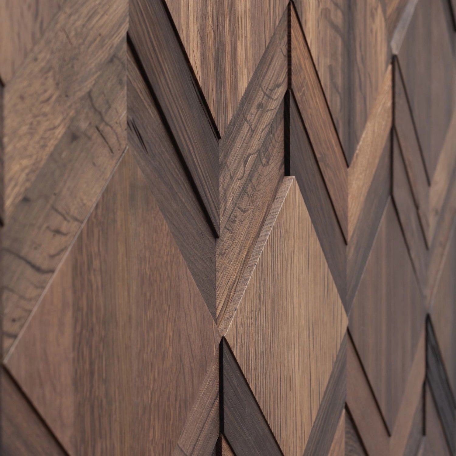 Wonderwall Studios Clue Bog Oak Wall Panel