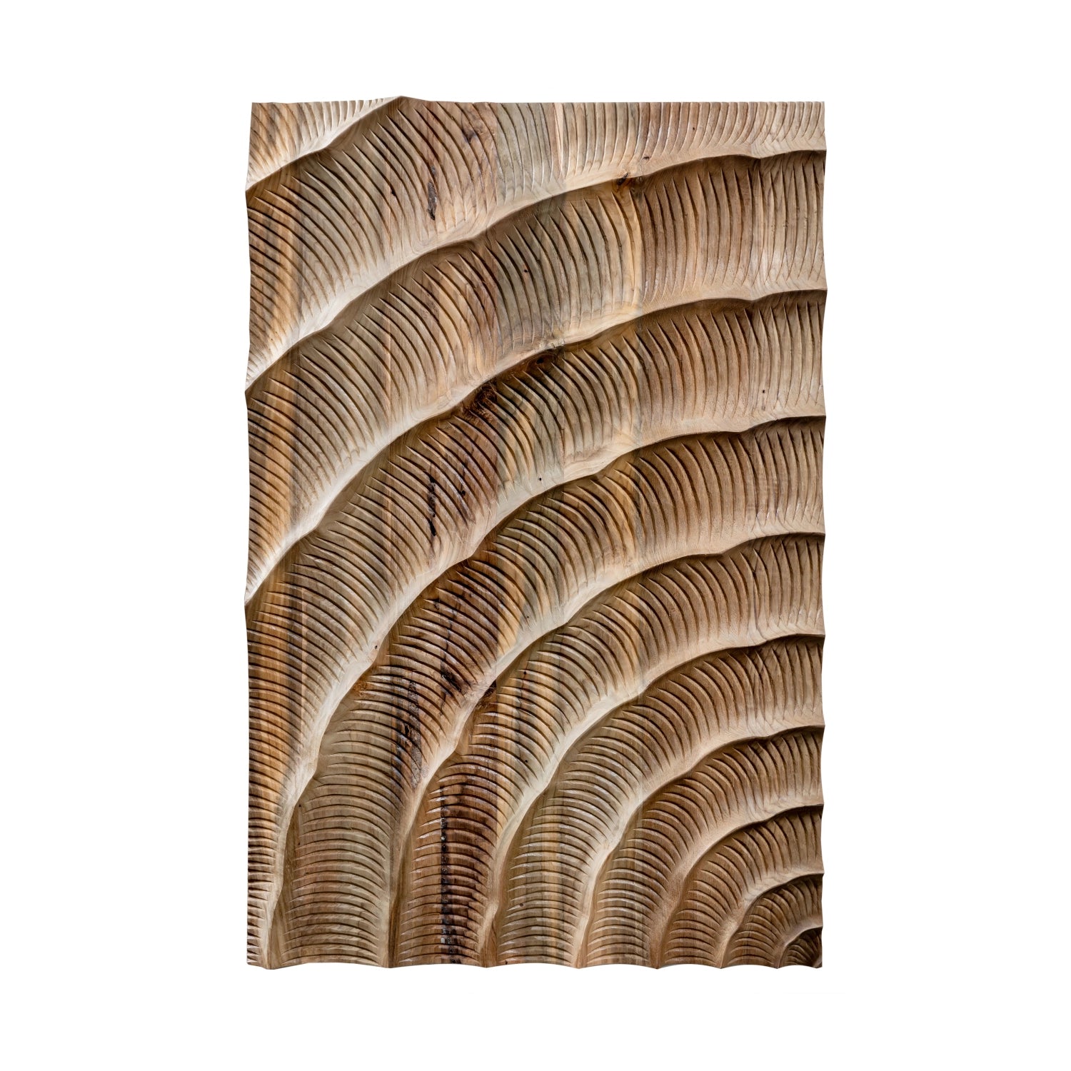 Wonderwall Studios Wooden Wall Panels available at Archideco Interior Gallery - archideco-interior.com