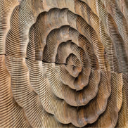 Wonderwall Studios Wooden Wall Panels available at Archideco Interior Gallery - archideco-interior.com