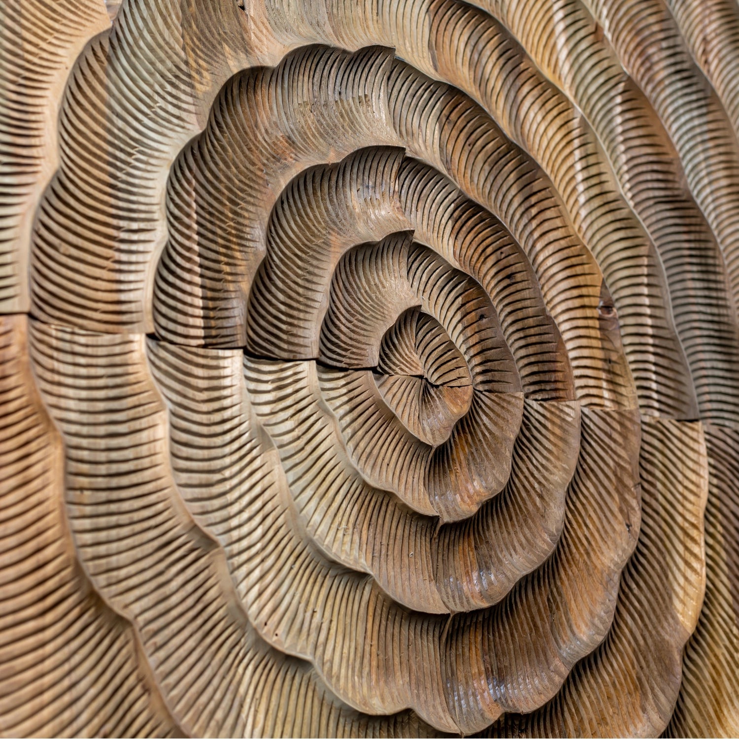 Wonderwall Studios Wooden Wall Panels available at Archideco Interior Gallery - archideco-interior.com