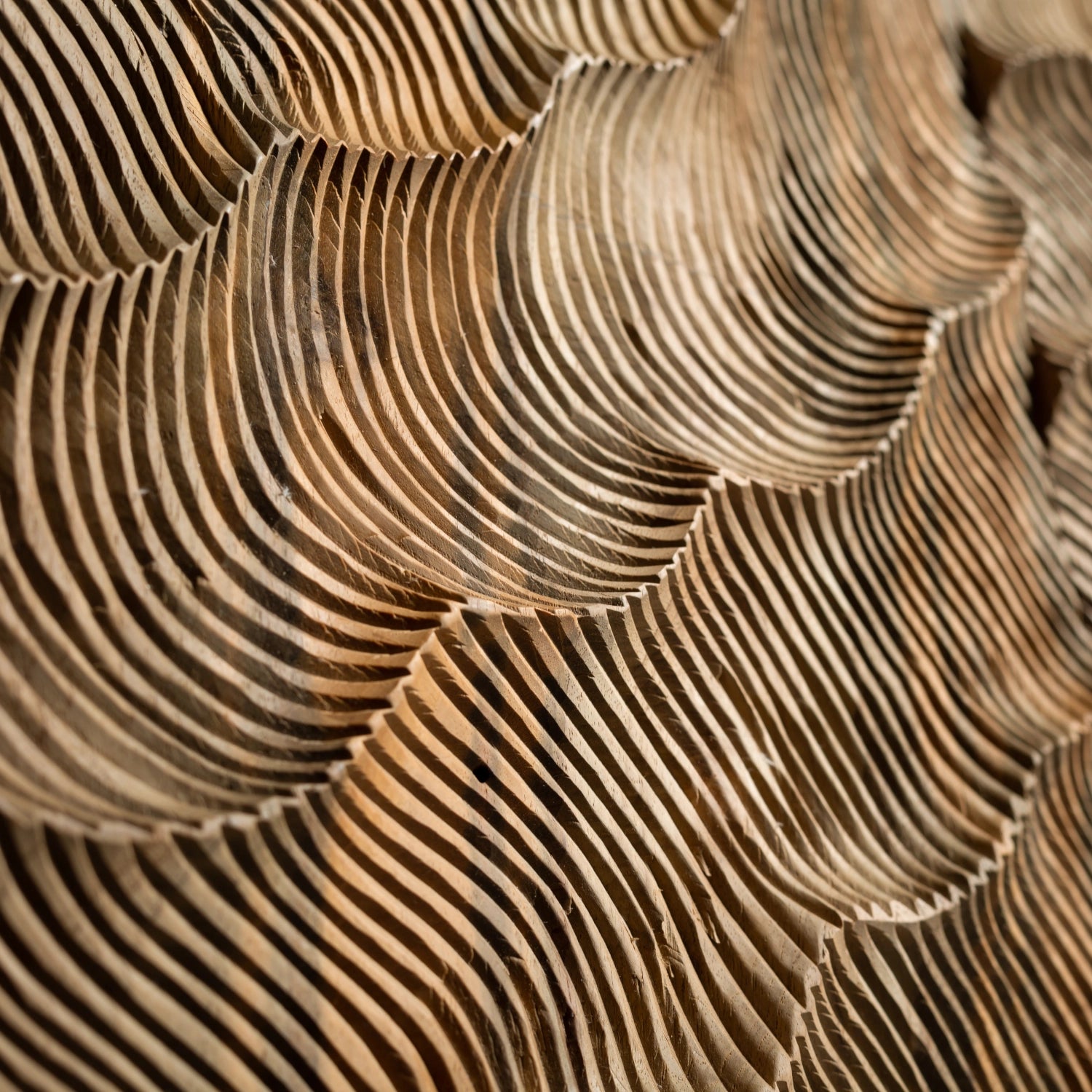 Wonderwall Studios Wooden Wall Panels available at Archideco Interior Gallery - archideco-interior.com