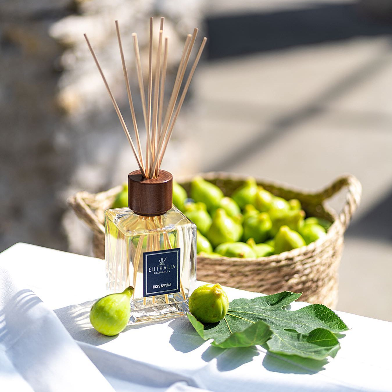 FICUS APULIAE Reed Diffuser by Euthalia at Archideco Interior Gallery