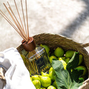 FICUS APULIAE Reed Diffuser by Euthalia at Archideco Interior Gallery