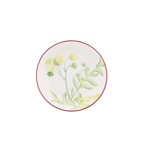 Florenza Acanto Green Tea Saucer by Ginori 1735