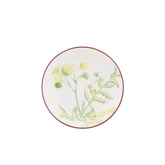 Florenza Acanto Green Tea Saucer by Ginori 1735