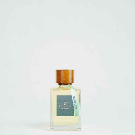 FICUS APULIAE Reed Diffuser by Euthalia