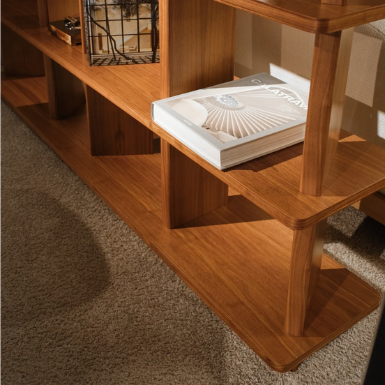 MANDELA Bookshelf