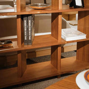 MANDELA Bookshelf