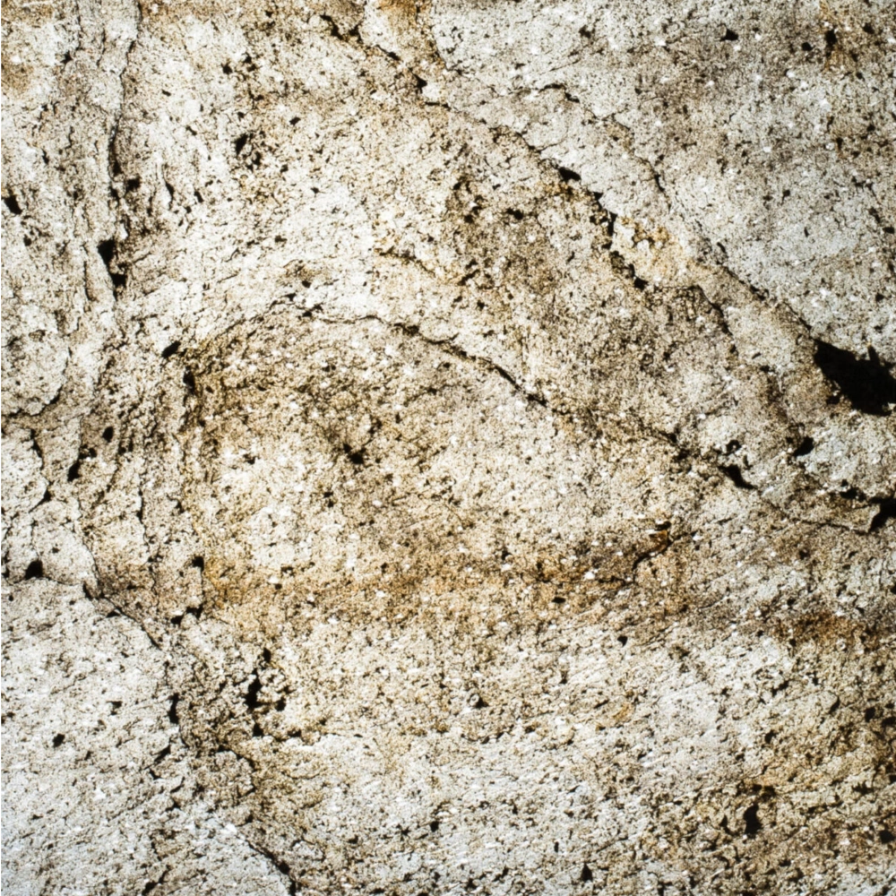 StoneLeaf Translucent Amsterdam Natural Stone Sheet