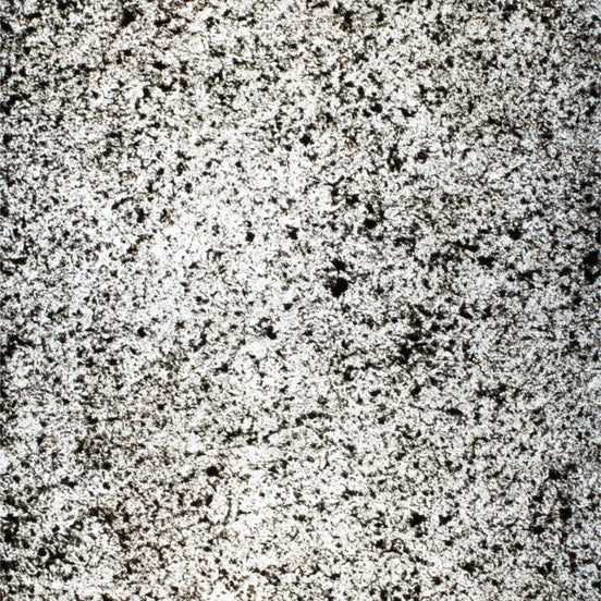 StoneLeaf Translucent Canberra Natural Stone Sheet