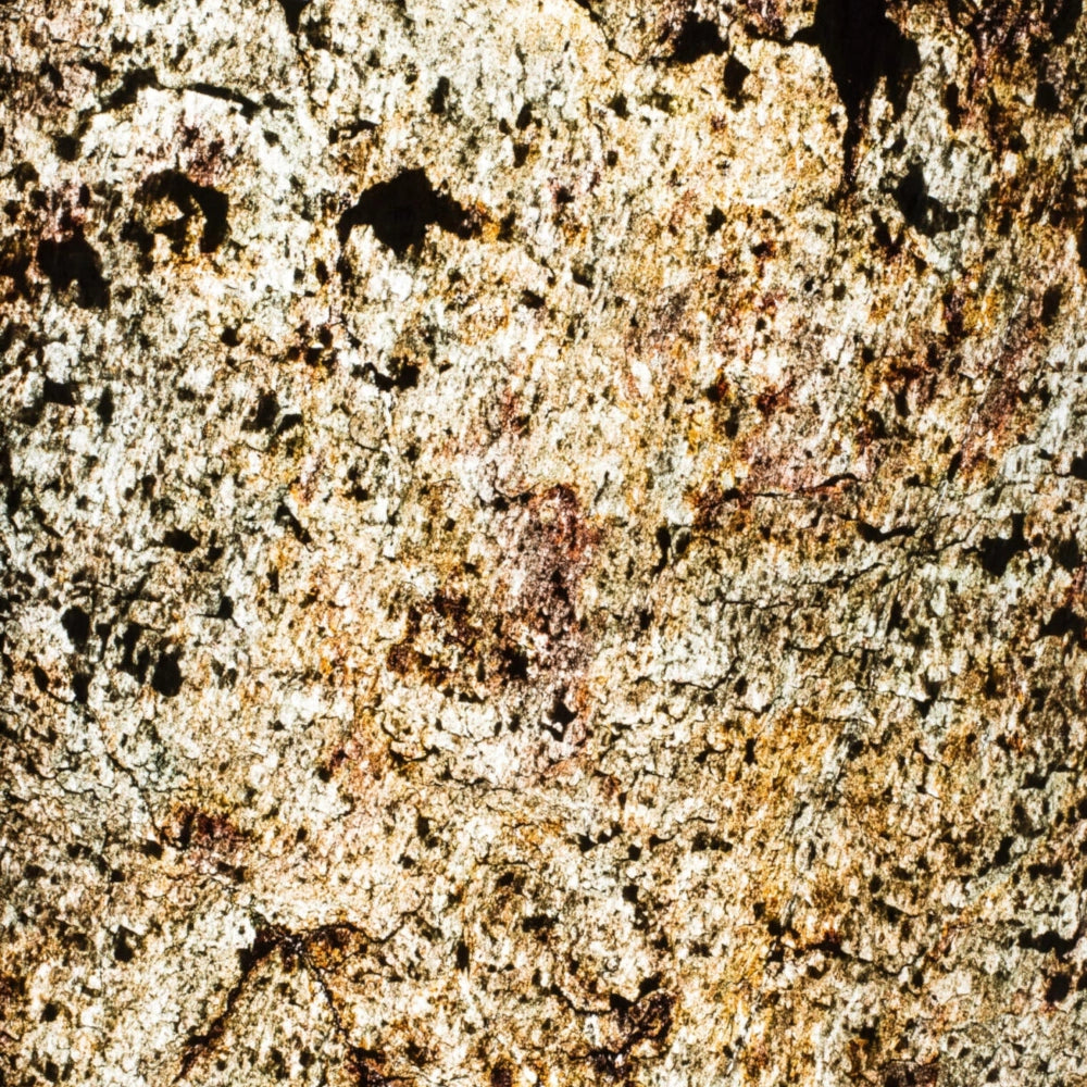 StoneLeaf Translucent Kuala Lumpur Natural Stone Sheet