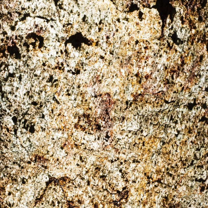StoneLeaf Translucent Kuala Lumpur Natural Stone Sheet