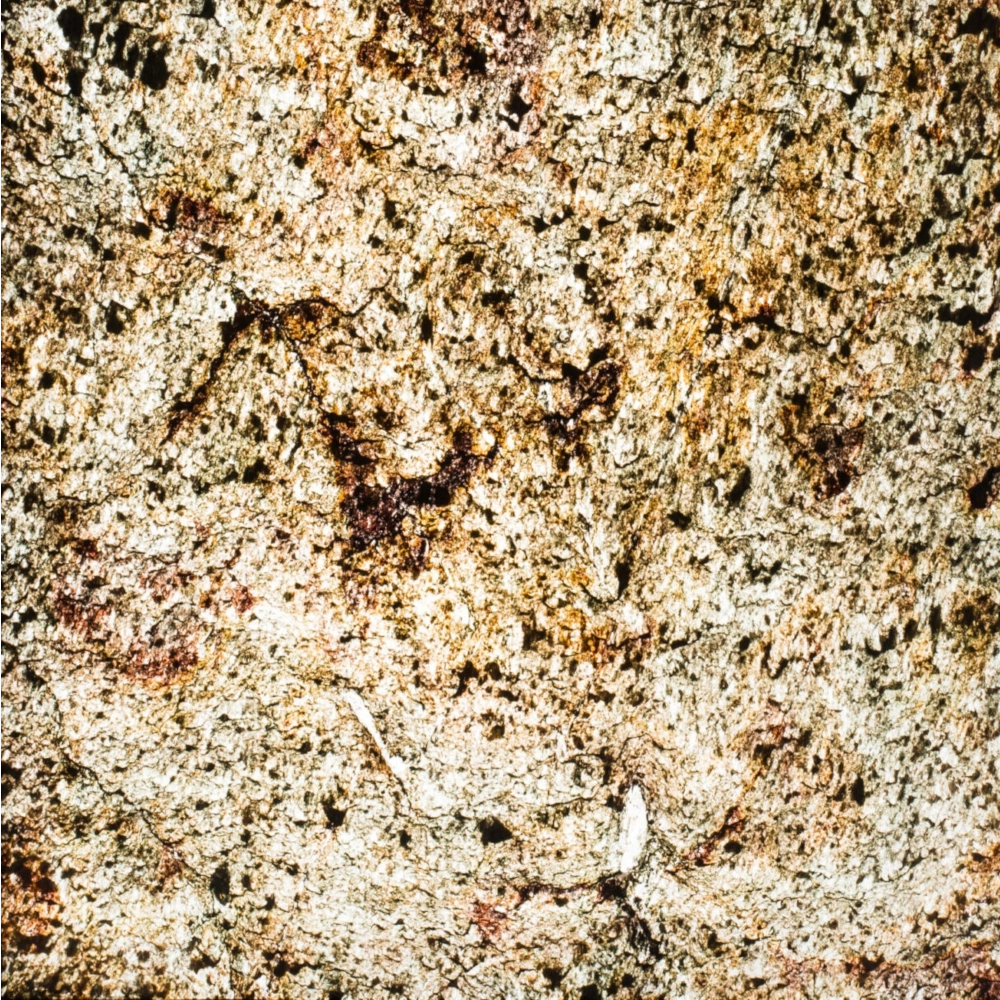 StoneLeaf Translucent Kuala Lumpur Natural Stone Sheet