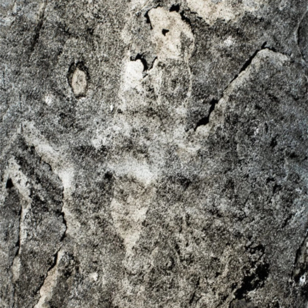 StoneLeaf Translucent London Natural Stone Sheet