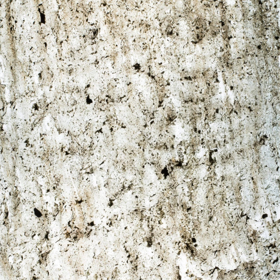 StoneLeaf Translucent Madrid Natural Stone Sheet