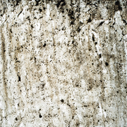 StoneLeaf Translucent Madrid Natural Stone Sheet