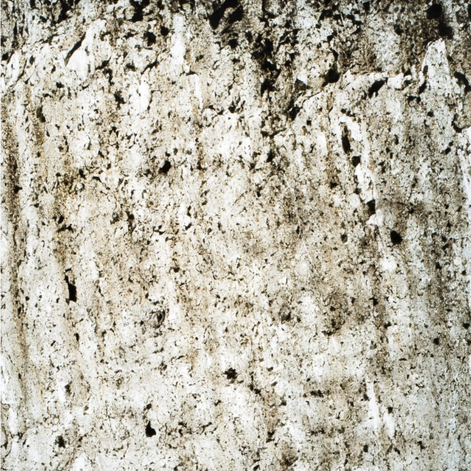 StoneLeaf Translucent Madrid Natural Stone Sheet