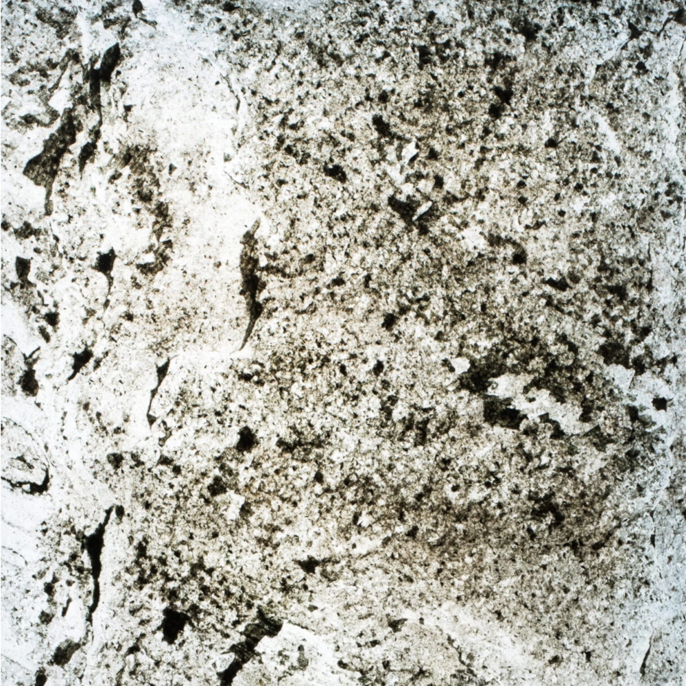 StoneLeaf Translucent Minsk Natural Stone Sheet