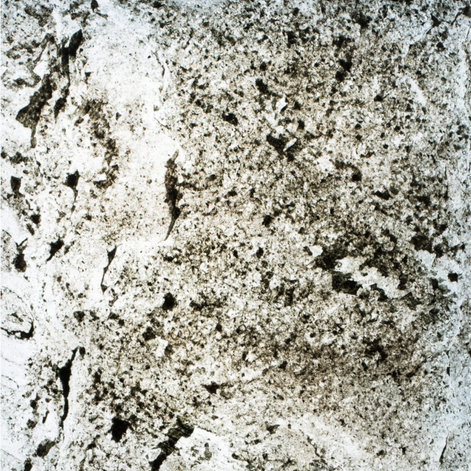 StoneLeaf Translucent Minsk Natural Stone Sheet