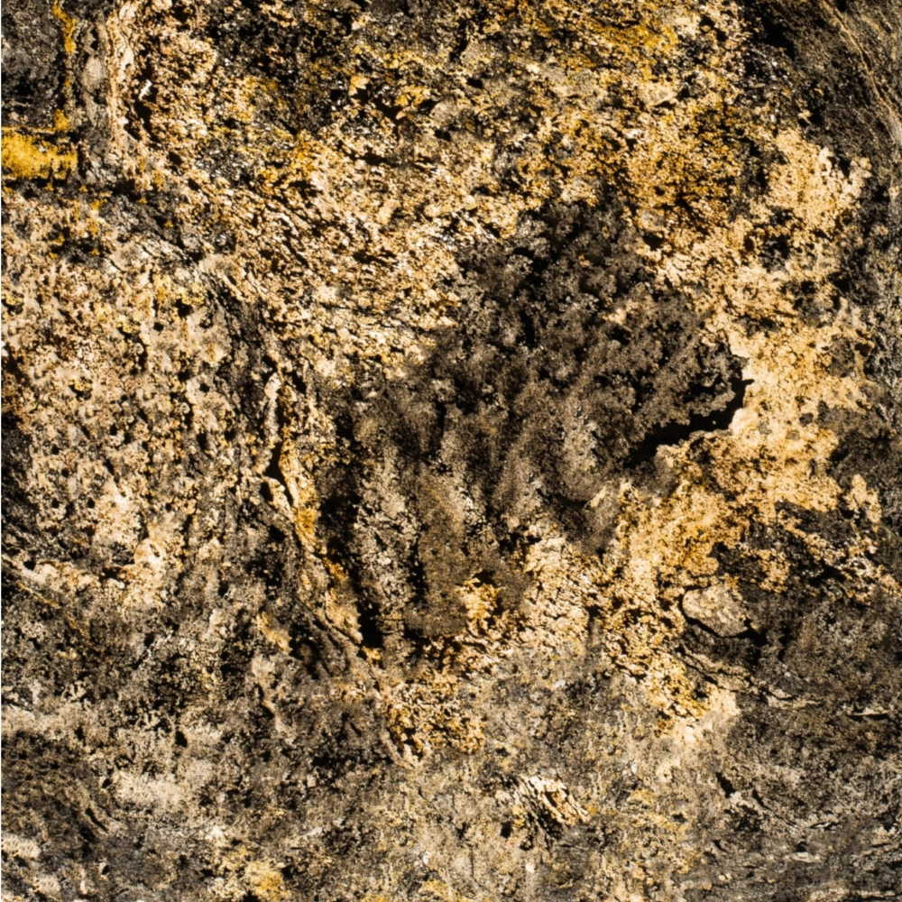 StoneLeaf Translucent Mumbai Natural Stone Sheet
