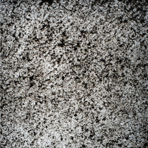 StoneLeaf Translucent Zagreb Natural Stone Sheet