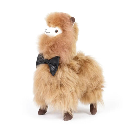 Alpaca PACO