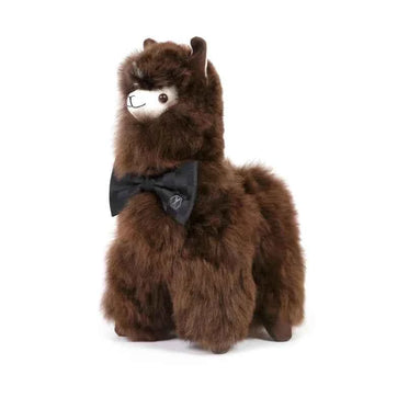 Alpaca PACO